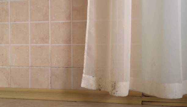 Mold Remediation for Vacation Homes in Island Walk, FL