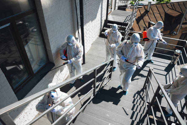 Best HVAC Mold Inspection and Cleaning  in Island Walk, FL