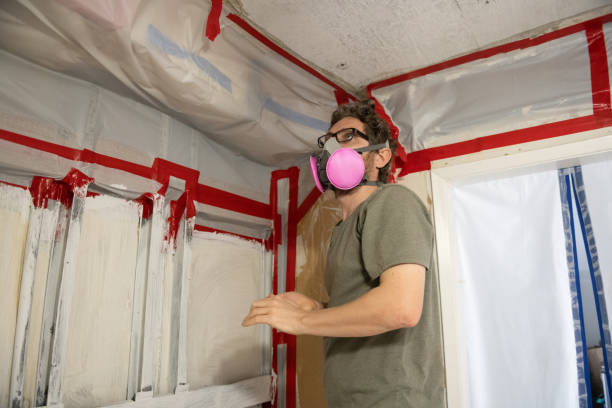 Best Emergency Mold Remediation  in Island Walk, FL