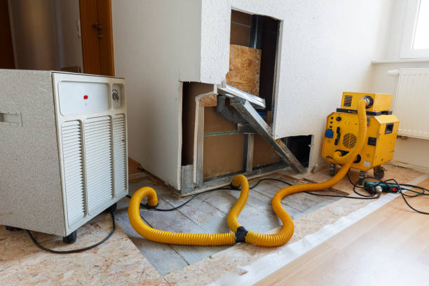 Best Industrial Mold Remediation  in Island Walk, FL